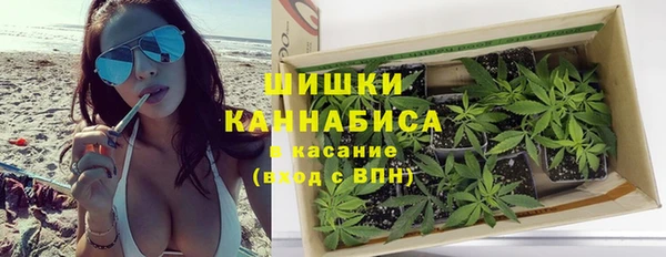 стафф Заводоуковск
